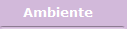 Ambiente